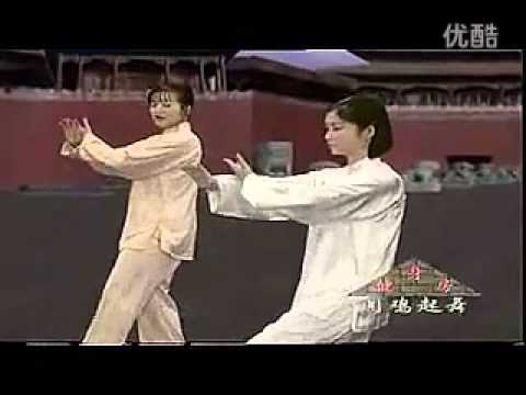 Thumbnail for 二十四式太极拳（较清晰版 吴阿敏主讲 示范） y