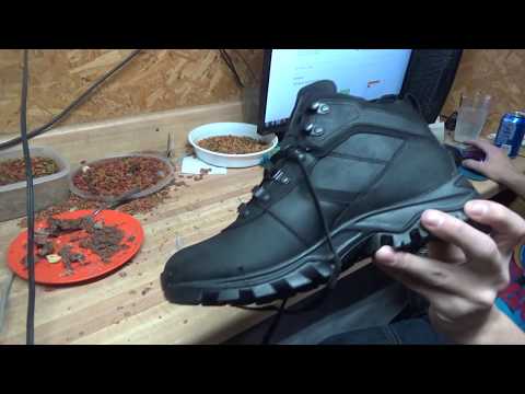 BEST Timberland Men’s Mt. Maddsen Boot's EVER you need to get them