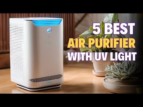 Top 5 Best Air Purifier With UV Light of 2024!