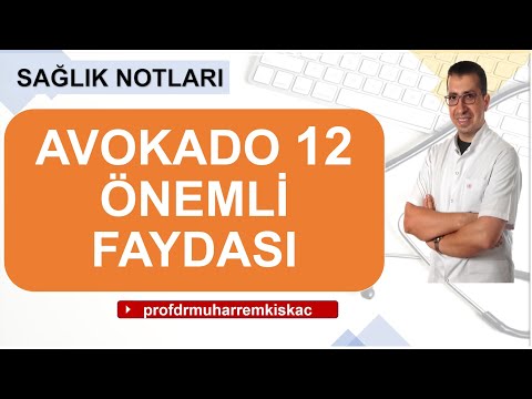 Avokado faydaları nelerdir ? Avokado ne işe yarar?