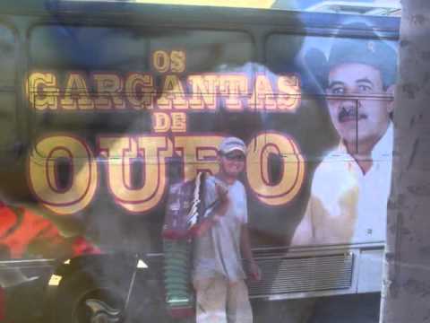 GARGANTAS DE OURO GABIROBA E TEM DO PEQUENININHA.