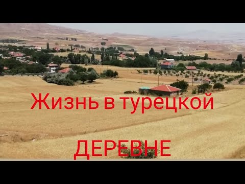 Thumbnail for Как живут люди в обычной турецкой деревне.