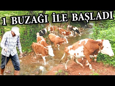 Köye Göç Sonrası Tarım ve Hayvancılık