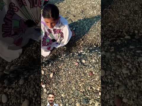 Smart Appliances! New Gadgets, VersatileUtensils, Tool Items #shorts #gadgets 384f Original Sound