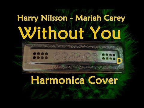 Without You - Harmonica Cover, Hohner Echo Harp, D major key