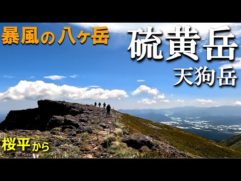 【登山体験】硫黄岳・天狗岳、暴風の八ヶ岳をプチ縦走!/桜平から赤岩の頭経由、東天狗岳までの登山道全部見せます!/2022/06