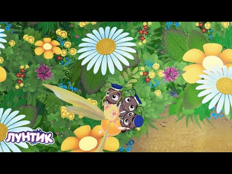 Thumbnail for Лунтик | Самые летние серии ???????????? Мультики для детей
