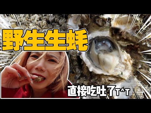 春游赶海大野战!现场活吃生猛海鲜!| Fishing