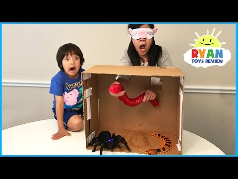 What's in the Box Challenge Parent vs Kid with Ryan ToysReview