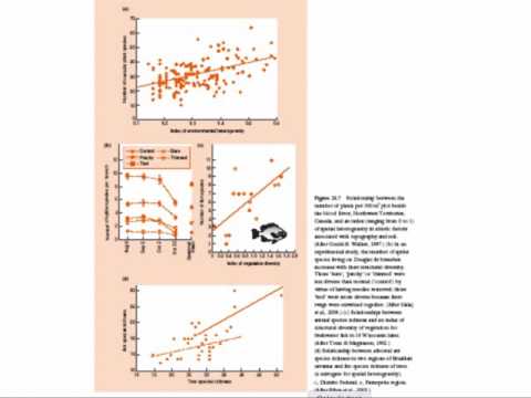 Ecologia evolutiva 1 Aula 10 - Padrões espaciais e temporais de riqueza