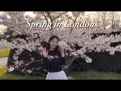Thumbnail for ???????? 영국 유학생 vlog (ft. 대학교 마지막 강의????) | UCL 대학생 브이로그 | 런던 날씨, 벚꽃, 리젠트 파크, 피크닉, 런던 맛집, 운동, 도서관, 영국 물가