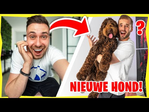 Thumbnail for 24 UUR MIJN VRIENDJE THOMAS PRANKEN! *Eindelijk Wraak*