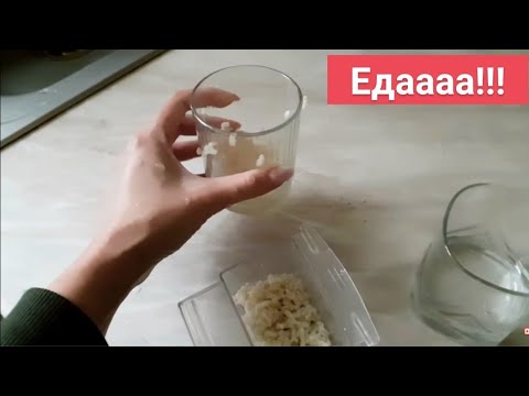 Thumbnail for Чем я кормлю попугаев кроме корма. Какой наполнитель на дне клетки