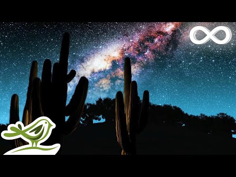 Thumbnail for High Above: Beautiful Relaxing Music for Stress Relief • Relax, Sleep, Meditate, Study