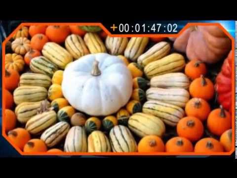 ТОП 5 - Корисна їжа