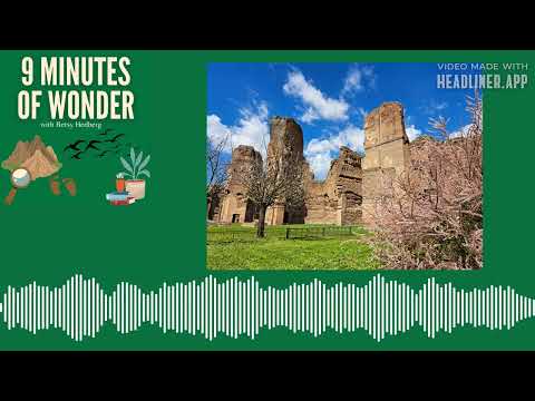 The ruins of Rome: layers of time right before your eyes, what could be more awe-inspiring?