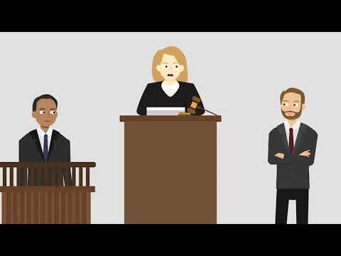 Bovard v. American Horse Enterprises, Inc. Case Brief Summary | Law Case Explained