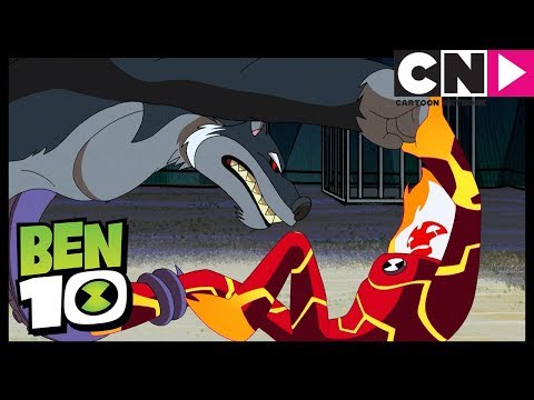 Zoológico Humano | La Bestia Interior | Ben 10 en Español Latino | Cartoon Network