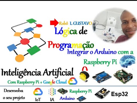 Lógica de Programação do Arduino e Raspberry Pi na Integração via UART SERIAL