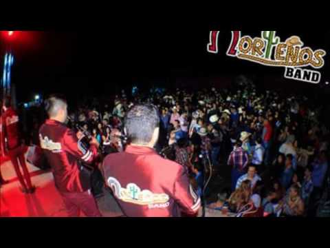 VAMONOS DE FIESTA Y SOLO DEJATE LLEVAR (NORTEÑOS BAND)