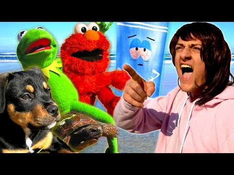 Angry Mom takes Kermit the Frog, Elmo, Towelie &amp; Puppy to the Beach!
