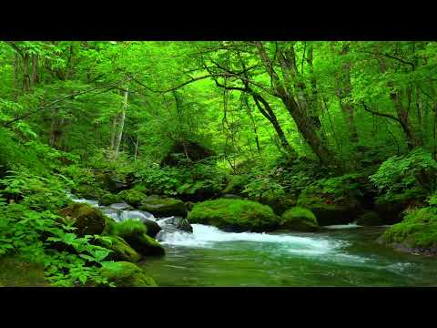Deep Healing Music, Healing Your Nervous System, Instant Relief from Stress and Anxiety, Calm Nature