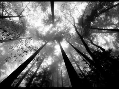 Hecq - Lost