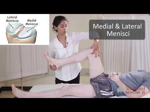 Thumbnail for The Exam for Knee Pain - Stanford Medicine 25