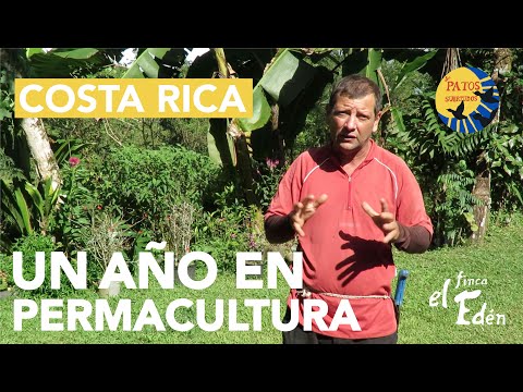 Thumbnail for Finca Orgánica y Bosque Comestible de Permacultura EL EDÉN – Costa Rica