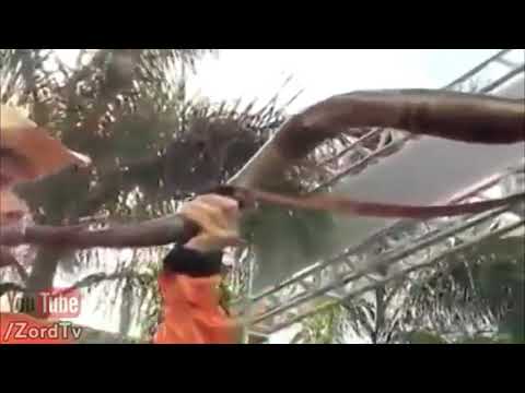 Thumbnail for VÍDEO MACONHA #2: Vin Diesel