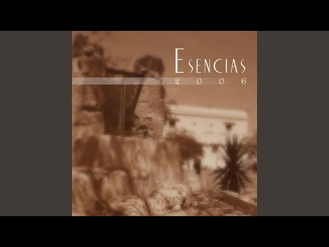 Thumbnail for Picame Tarantula