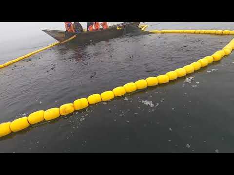 Thumbnail for 8 тон в два замёта!