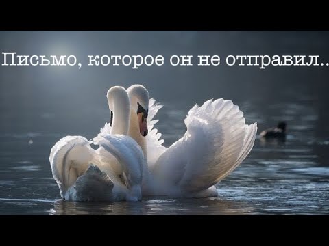 Мужчина говорит, что у вас нужно поучиться как нужно ЖИТЬ  ????️????????????