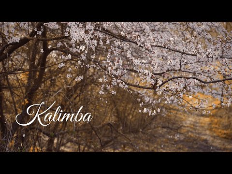 Kalimba ile Kanaldaki Tüm Müzikler | Sudefteri Kolaj