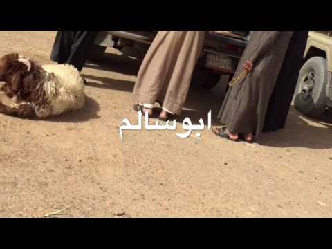 مكشات الطبيق 1/ 8 / 1438