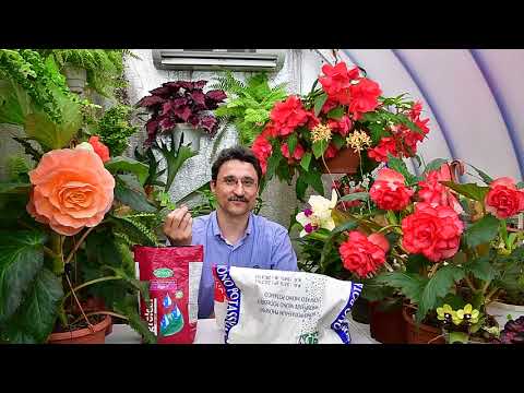 О фосфорных удобрениях.  Сравнение.  Монофосфат калия.