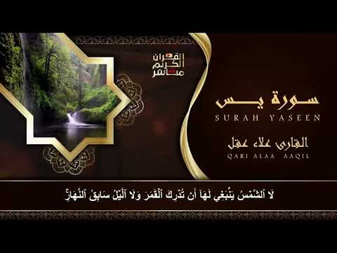سورة يس، الرحمن، الواقعة، الملك استمع بنية الرزق والبركة وتيسير الأمور تلاوة هادئة Quran Recitation