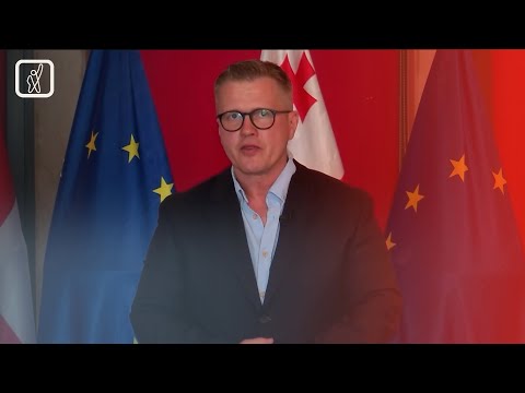 ევროპარლამენტარი ანსის პუპოლსი ლევან ხაბეიშვილს შეხვდა