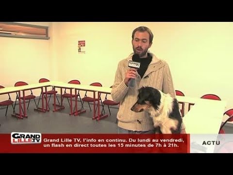 Thumbnail for Facteurs, comment éviter les morsures de chien ?