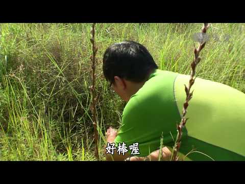 【甘願人生】20140901 - 植物玩家 - 郭睿軒