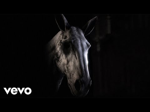 Noah Cyrus, Vance Joy - Everybody Needs Someone (Official Audio)