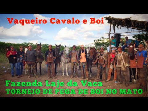 Vaqueiro Cavalo e Boi / Música: Quere Cre Cre @petronioeplacildodoisvaque3913