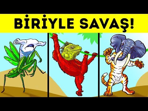 Hayatta Kalmak İçin Çözmeniz Gereken 12 Bilmece