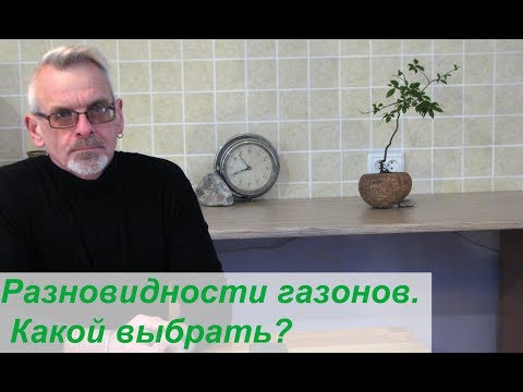 Thumbnail for Разновидности газонов.  Какой выбрать?