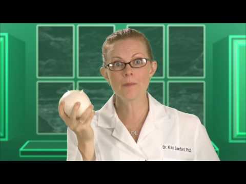What is the Maillard Reaction - Food Science