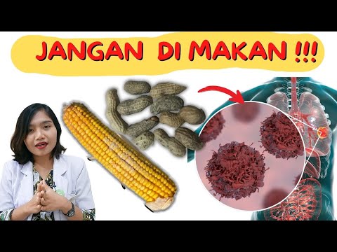 JAMUR PENYEBAB KANKER NO 1 YANG TIDAK SADAR SERING DI KONSUMSI ! AFLATOKSIN | dr.Emasuperr