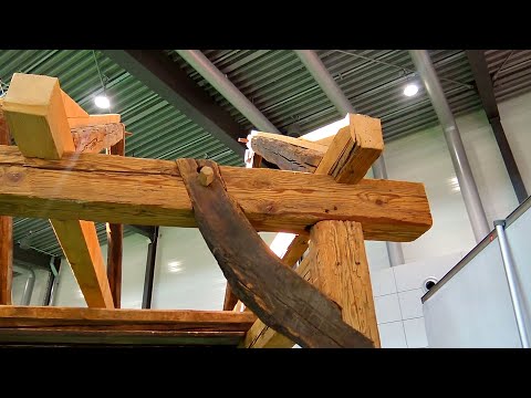 Выставка DACH+HOLZ. Чудеса инструмента и технологий.