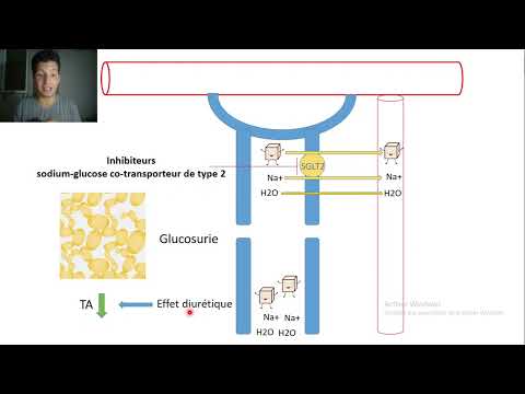 Thumbnail for 46-inhibiteurs SGLT2