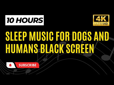 Sleep Music For Dogs and Humans Black Screen 10 Hours ????????