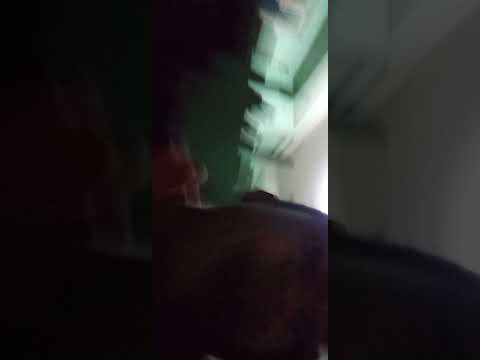 Thumbnail for Recalling Messi's ???? world cup triumph. Unbelievable scene of our exhilaration. It's epic???? #messi